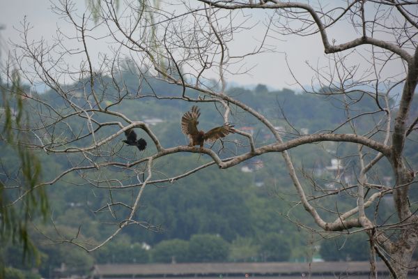 foto:Enrique Antonio Matus Bocanegra - lo hecho en México