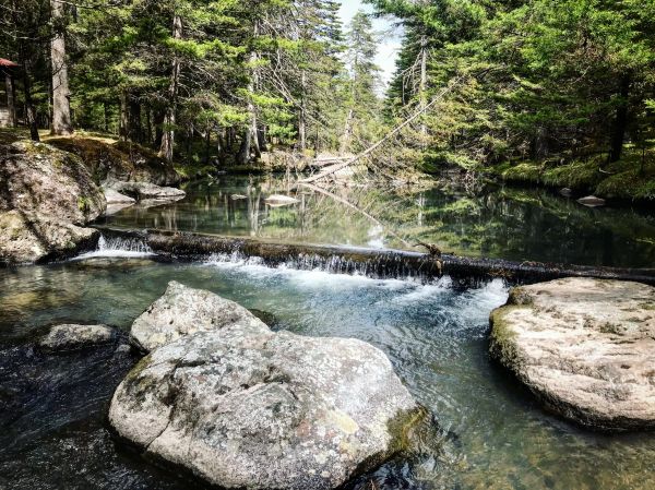 foto:SILVIA GUADALUPE ORNELAS LOAIZA - lo hecho en México