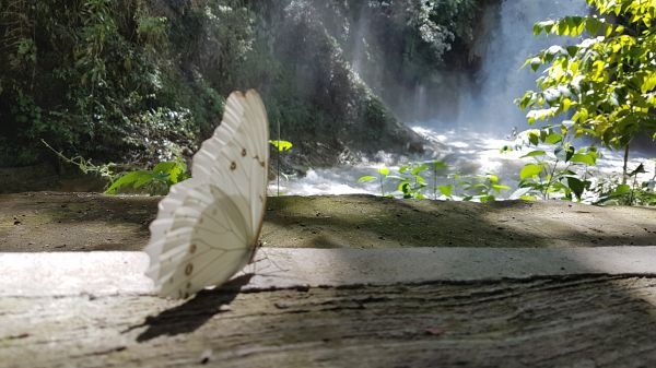 foto:Ofelia Artemisa  Santillanes  Posada - lo hecho en México