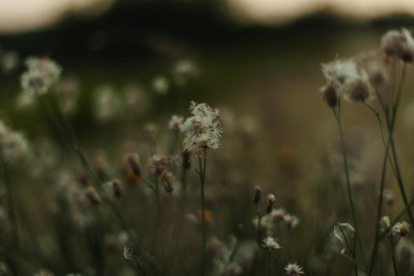 foto:Fernanda Torres Félix - lo hecho en México