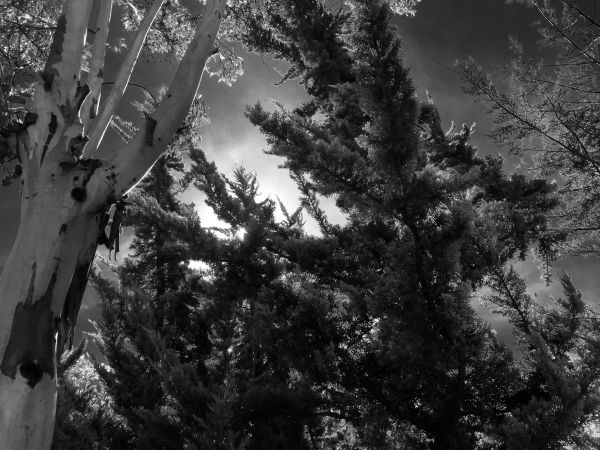 foto:Alexa Morell Cortés  Karas  - lo hecho en México