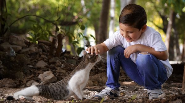 foto:Arian Melchor Manzanero  Pool - lo hecho en México