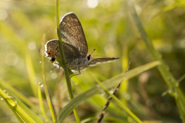 foto:José Manuel Hernández Mendoza - lo hecho en México