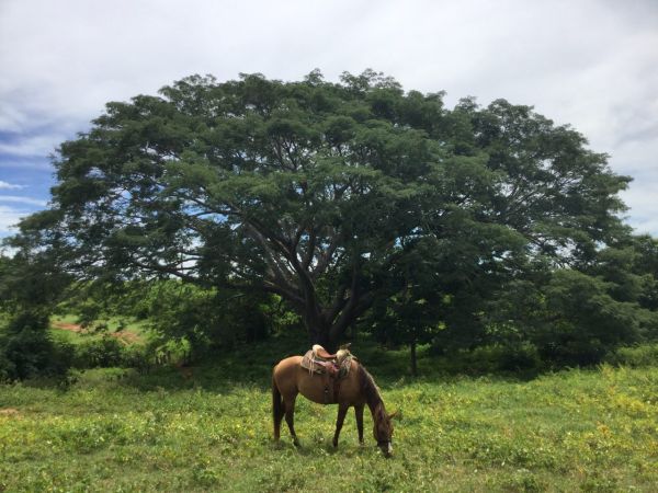 foto:José Daniel Castillo Quuntero - lo hecho en México