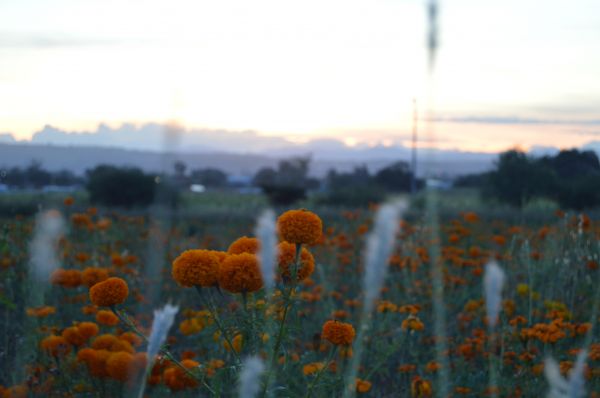foto:Jhonatan Jairo Jiménez Godínez - lo hecho en México