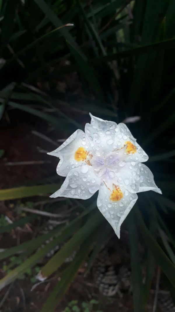 foto:Nahomi Aparicio Castillo - lo hecho en México