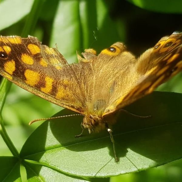 foto:Nata Barcena Milla - lo hecho en México