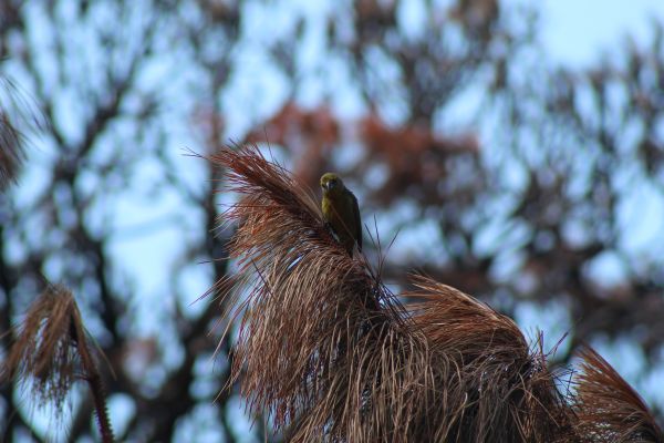 foto:Jose Guadalupe Hernandez Gutierrez - lo hecho en México