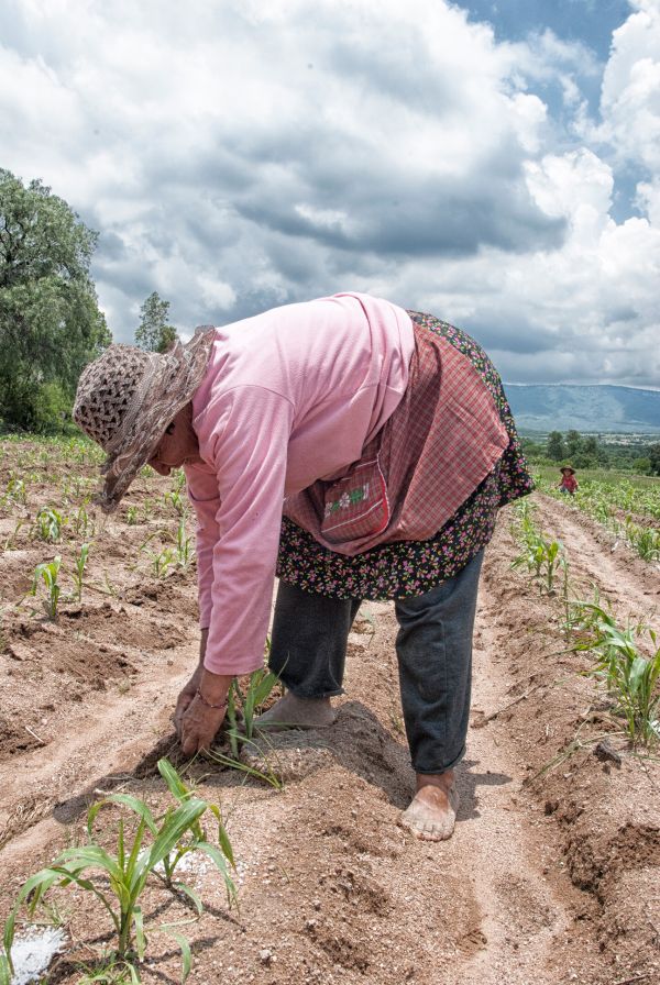 foto:Beatriz Reyes Rodríguez - lo hecho en México
