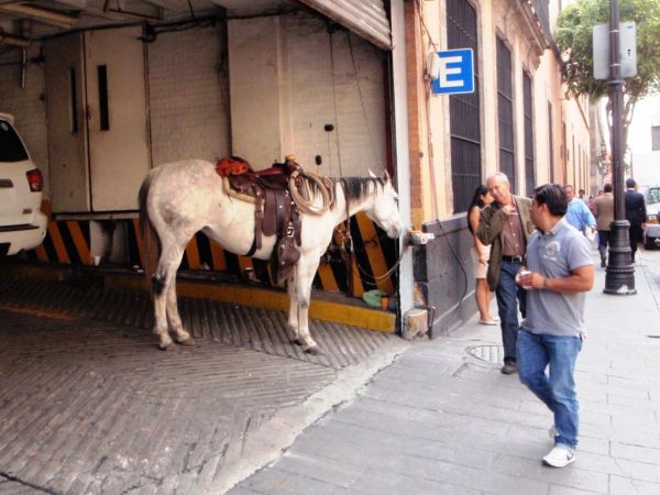 foto:Miguel Ángel Durán Guapio - lo hecho en México