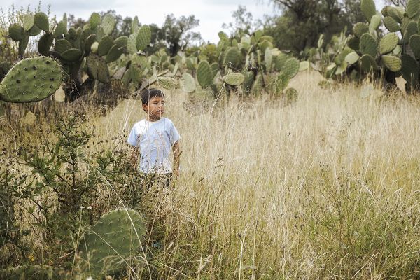 foto:ANDREA LOPEZ FERNANDEZ - lo hecho en México