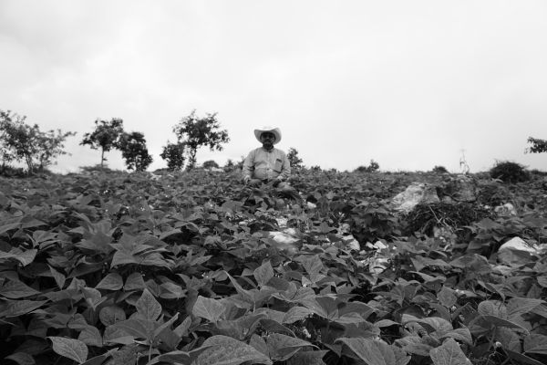 foto:JULIO CESAR ALAN SANTILLAN GARCIA - lo hecho en México