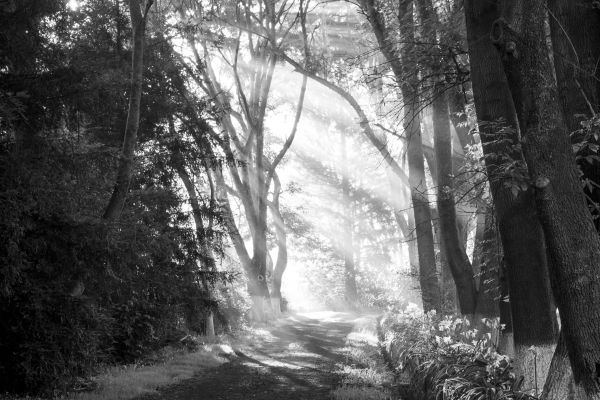foto:Raul Alfredo Garcia Gonzalez - lo hecho en México