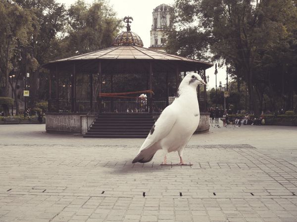 foto:Jhonatan  Spencer Aguilar Aranda - lo hecho en México
