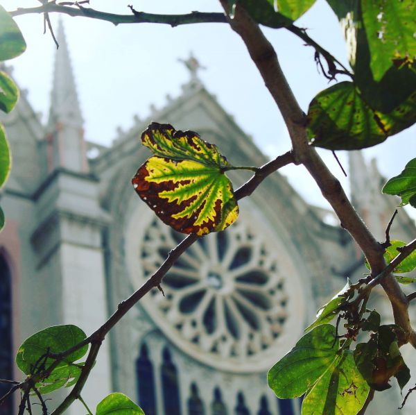 foto:Jorge Alexis Macias  Moreno - lo hecho en México