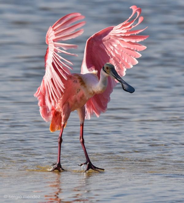 foto:Sergio Mendez Castillo - lo hecho en México