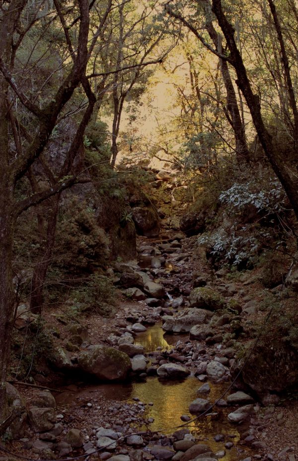 foto:Sabrina Martinez Vargas - lo hecho en México