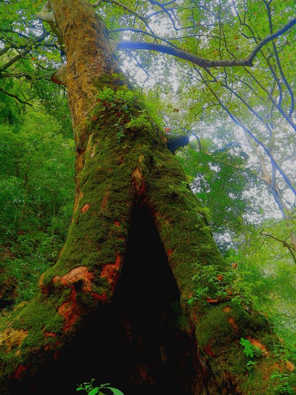 foto:luis ángel arreola bedolla - lo hecho en México