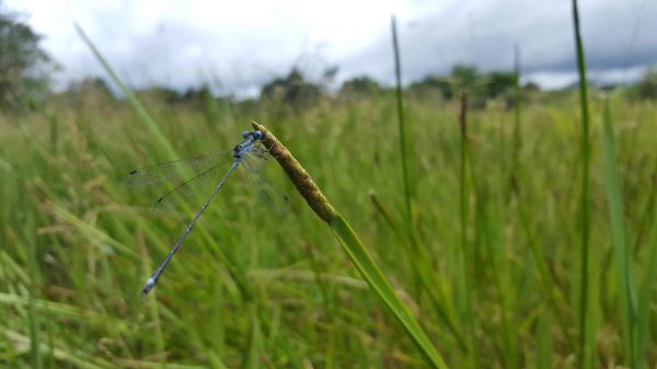 foto:Jareth Román Heracleo  - lo hecho en México