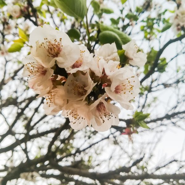 foto:Rubén Rodriguez Contreras - lo hecho en México