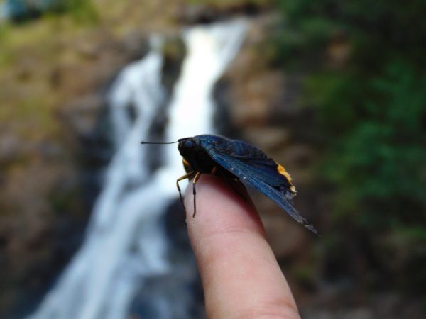 foto:Ernesto  Arellano Arreola - lo hecho en México