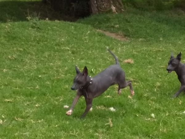 foto:Teresa Rodriguez Suarez - lo hecho en México