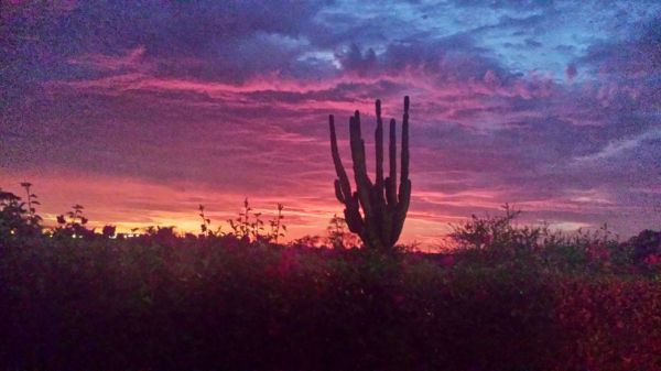 foto:elizabeth eleonor zubieta obregon - lo hecho en México