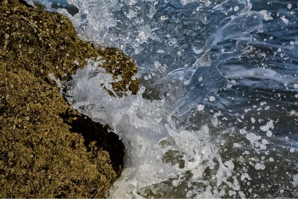 foto:Cintia Candelas Candelas - lo hecho en México