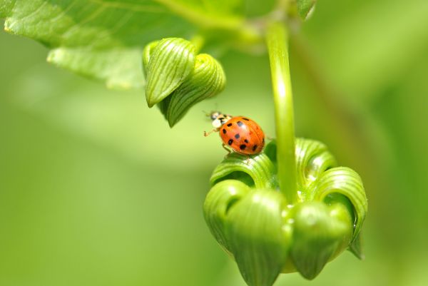 foto:Andrea  Cantú  Garza - lo hecho en México