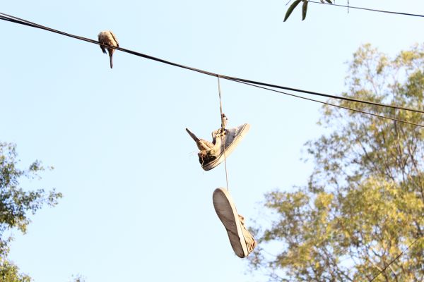 foto:Francisco Yahel Erize Herrera - lo hecho en México
