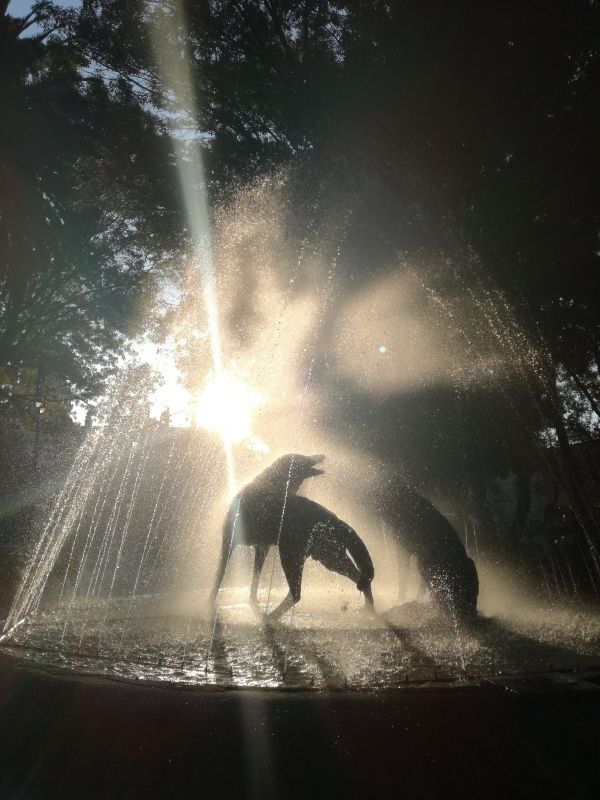 foto:Omar Alejandro Durán Bocardo - lo hecho en México