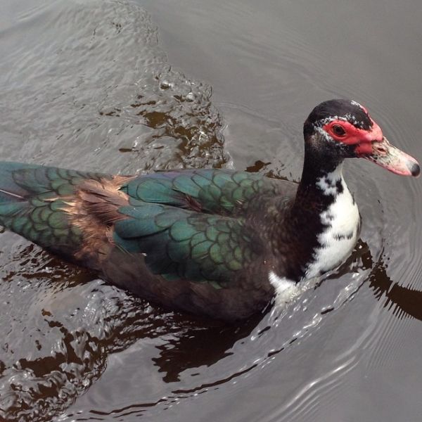 foto:Karen Abigail Mendoza Hernández - lo hecho en México