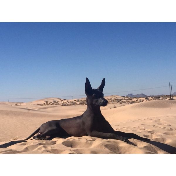 foto:Erick Santos Rodriguez - lo hecho en México