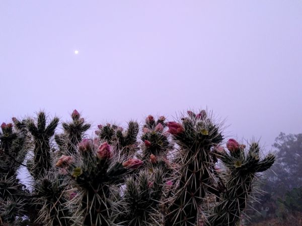 foto:José Antonio Diaz Hernández - lo hecho en México