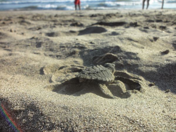 foto:celic  diaz  cedillo  - lo hecho en México