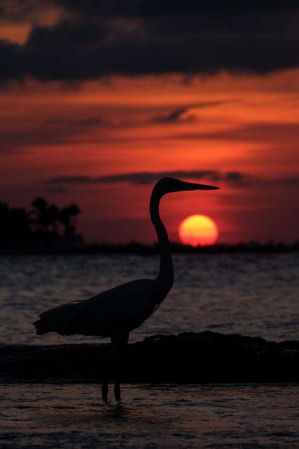 foto:Carlos Gustavo Blanco  Matus - lo hecho en México