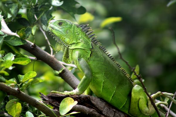 foto:Uri Alvarez Cárdenas - lo hecho en México