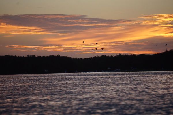 foto:JUAN RAÚL  AGUILAR  QUIJANO  - lo hecho en México
