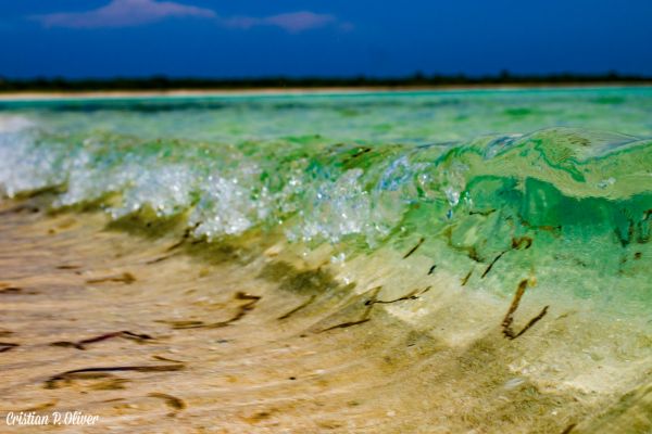 foto:Cristian Perez Oliver - lo hecho en México