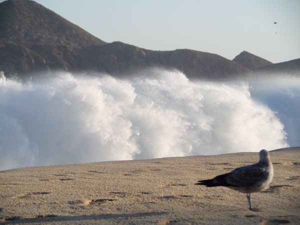 foto:CARLOS GARCIA OCHOA - lo hecho en México