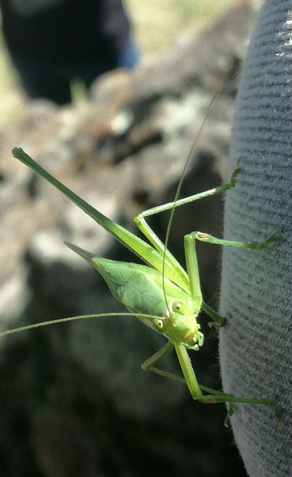 foto:María de los Angeles Delgado Beltrán - lo hecho en México