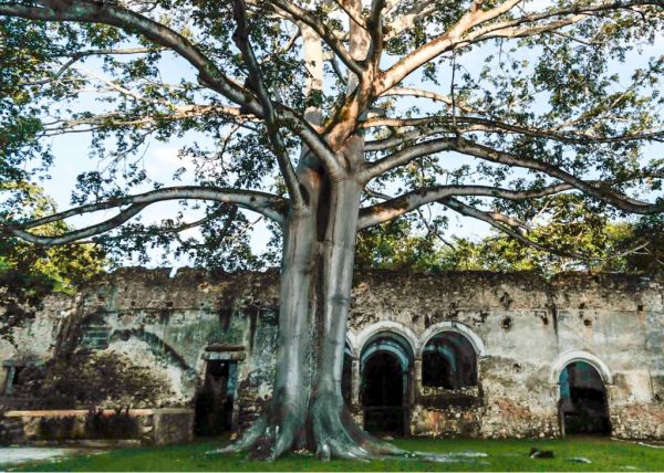 foto:Víctor Martín Sansores Troncoso - lo hecho en México