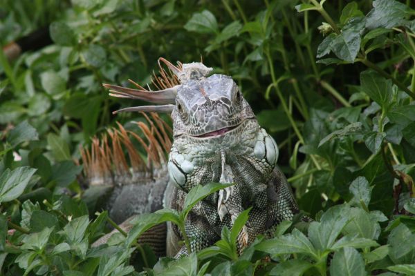 foto:Manuel  Máquez Barraza - lo hecho en México
