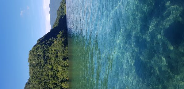 foto:Juan manuel Yañez Olmos - lo hecho en México