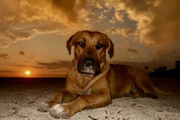 foto:Silvia Álvarez Bustos - lo hecho en México