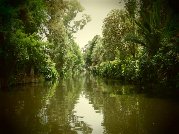 foto:Virginia Valdés Vaca - lo hecho en México
