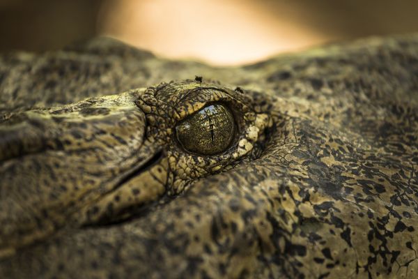 foto:MARIO PEREZ RESANO - lo hecho en México