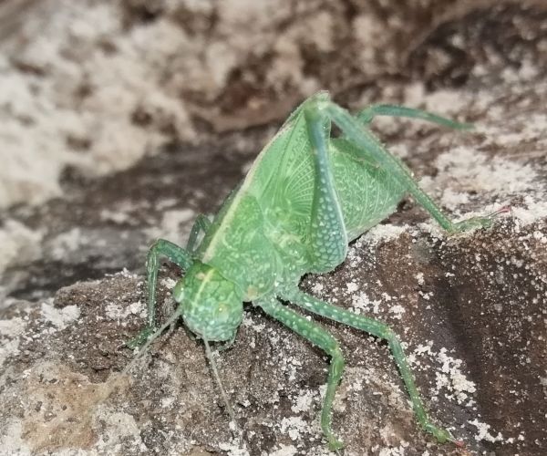 foto:Natanael Nuño Valencia - lo hecho en México