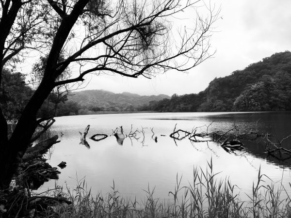 foto:Griselda Viridiana  Rosas Zárate  - lo hecho en México