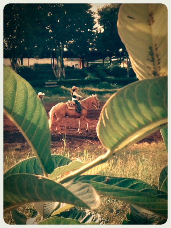 foto:Alejandra García Fosado - lo hecho en México